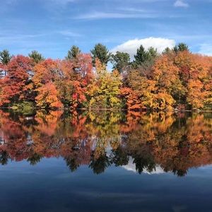 Meet your Posher, Li